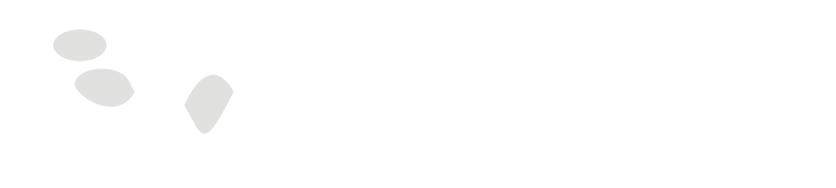 Company CI